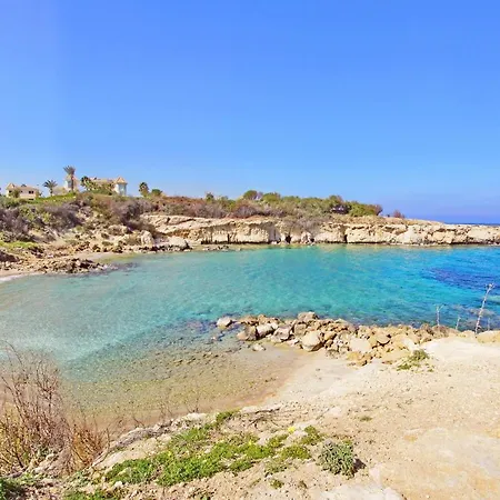 Medusa 普罗塔拉斯